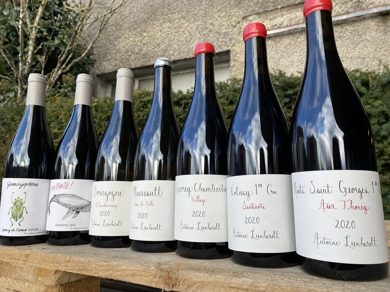 Sept bouteilles du millésime 2020 aux nouvelles étiquettes