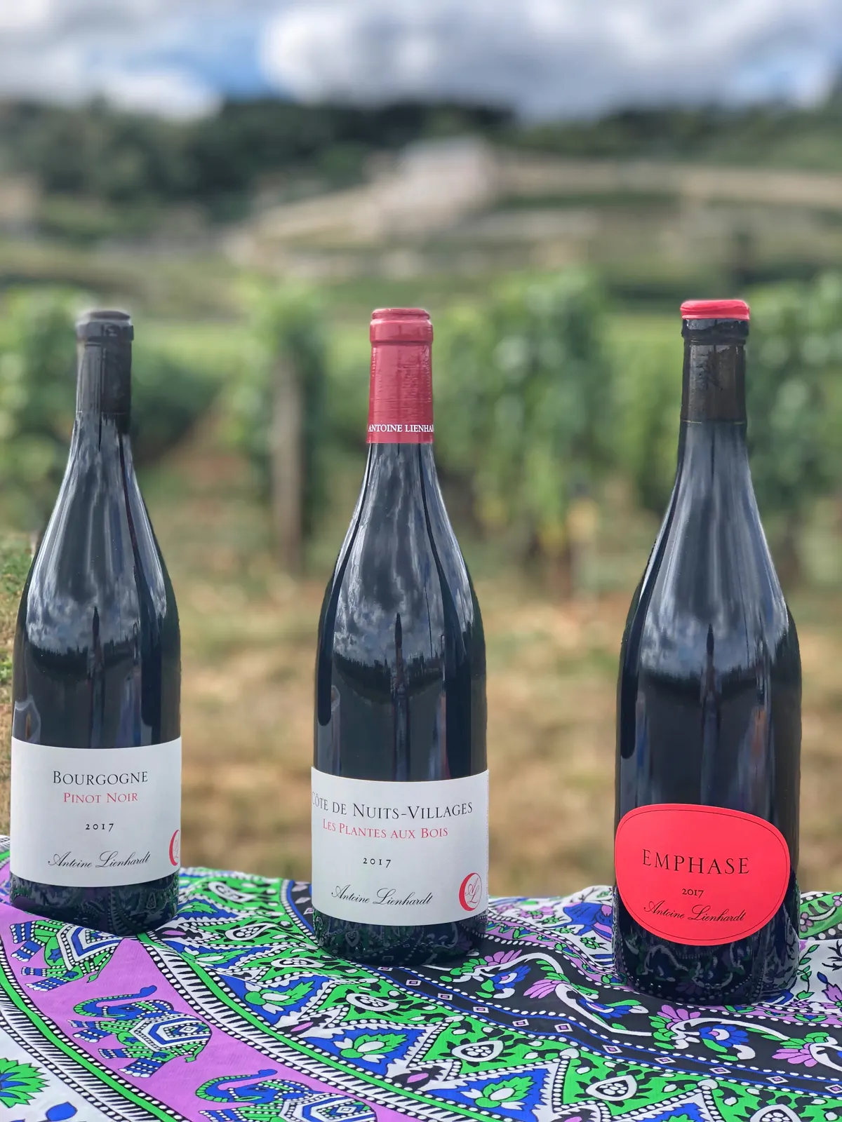 Trois bouteilles du domaine posées devant les vignes