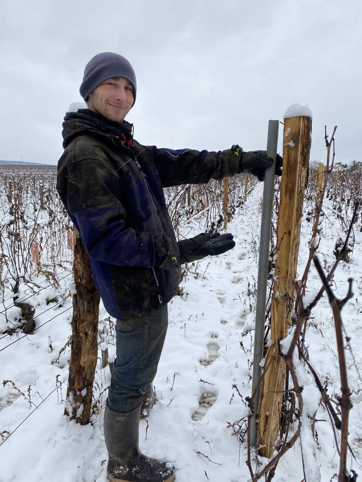 Antoine Lienhardt dans les vignes enneigées