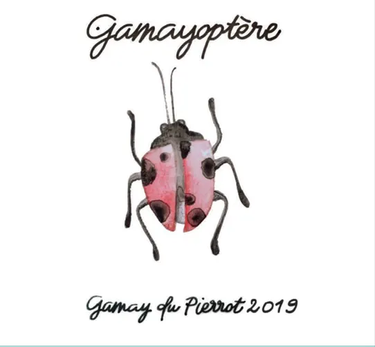 Étiquette du Gamayoptère, Gamay du Pierrot 2019