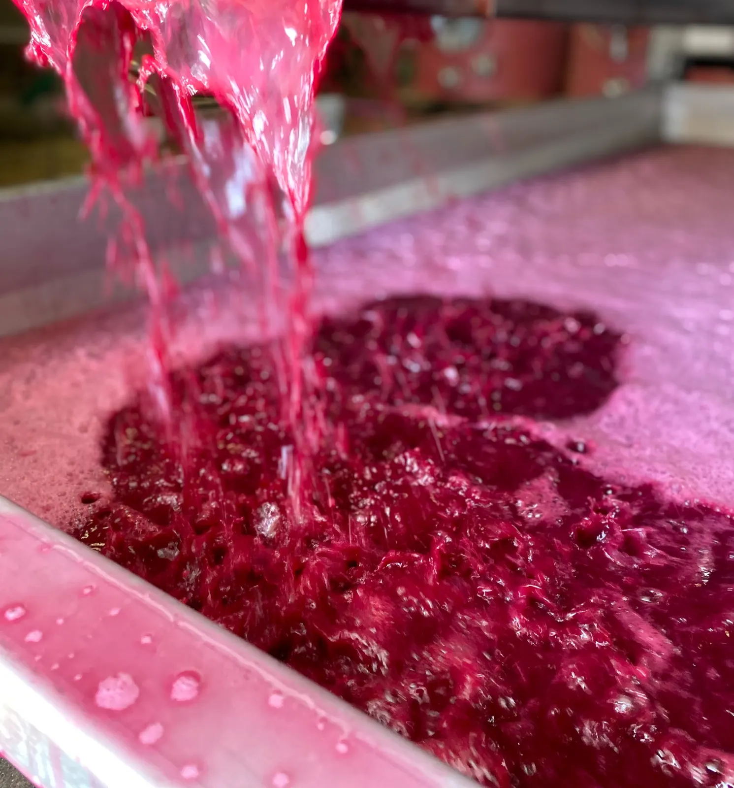 Le jus rouge coule du pressoir