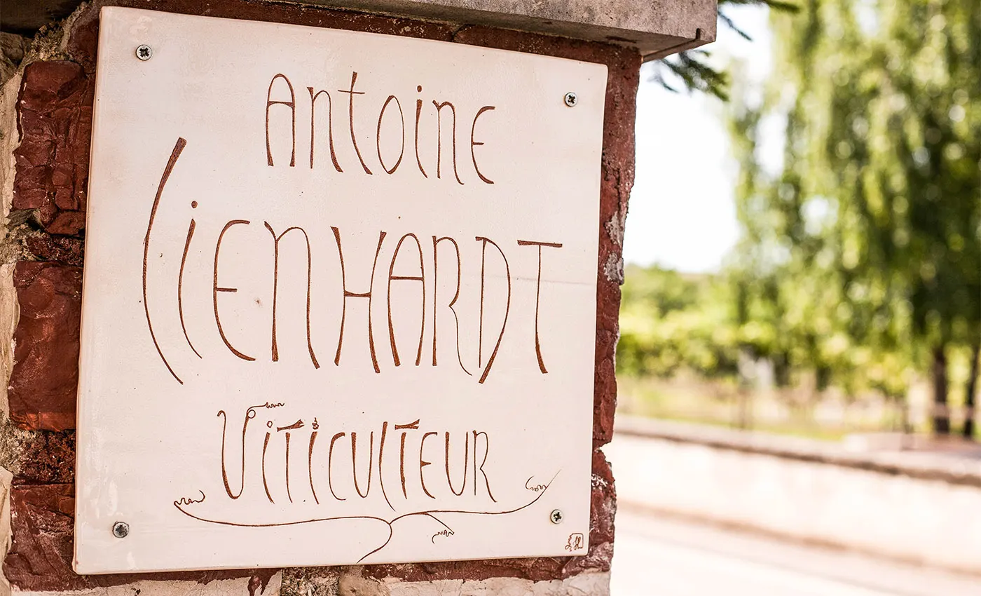 Panneau peint « Antoine Lienhardt viticulteur »