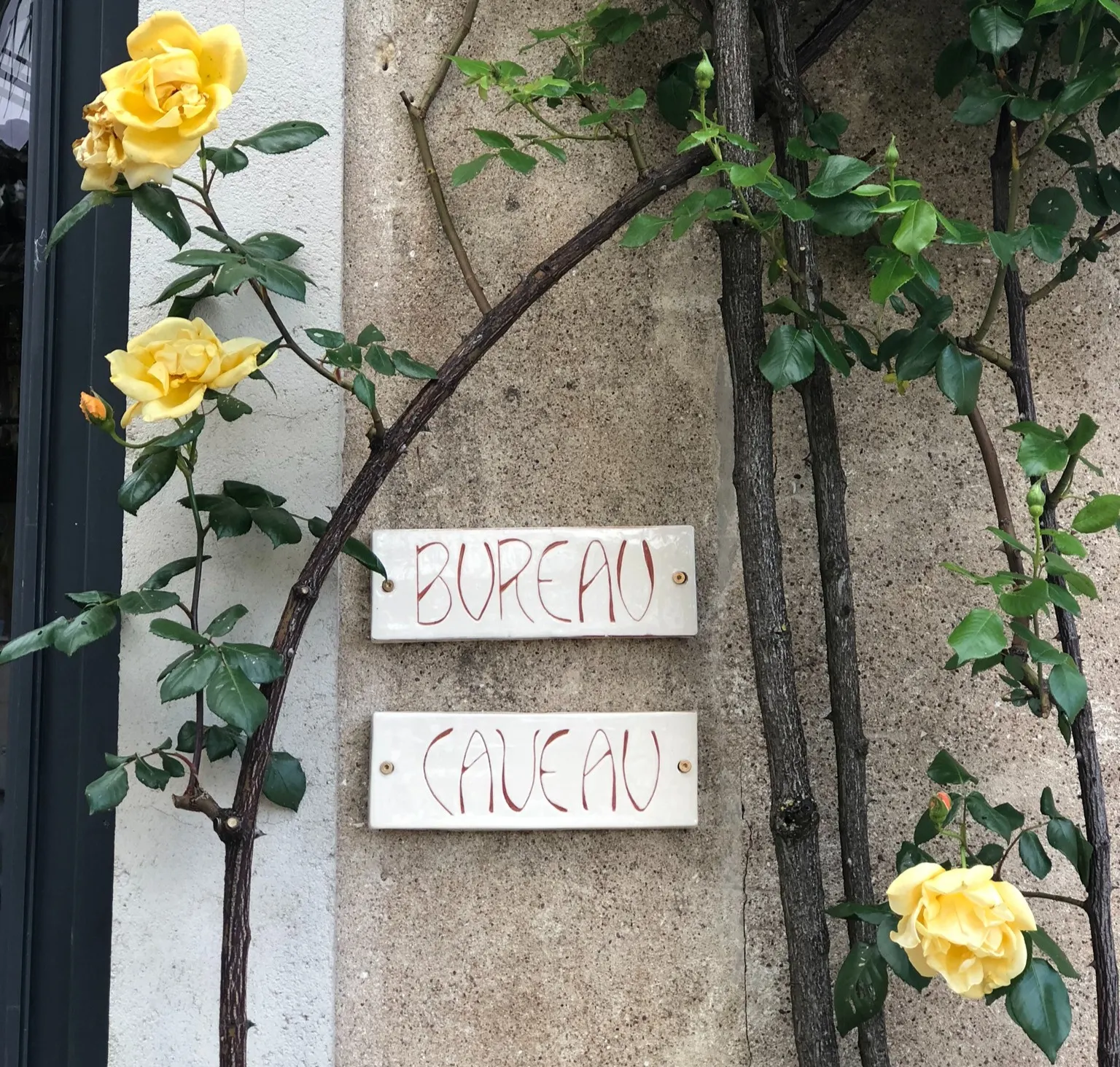 Panneaux « Bureau » et « Caveau » entourés de roses jaunes