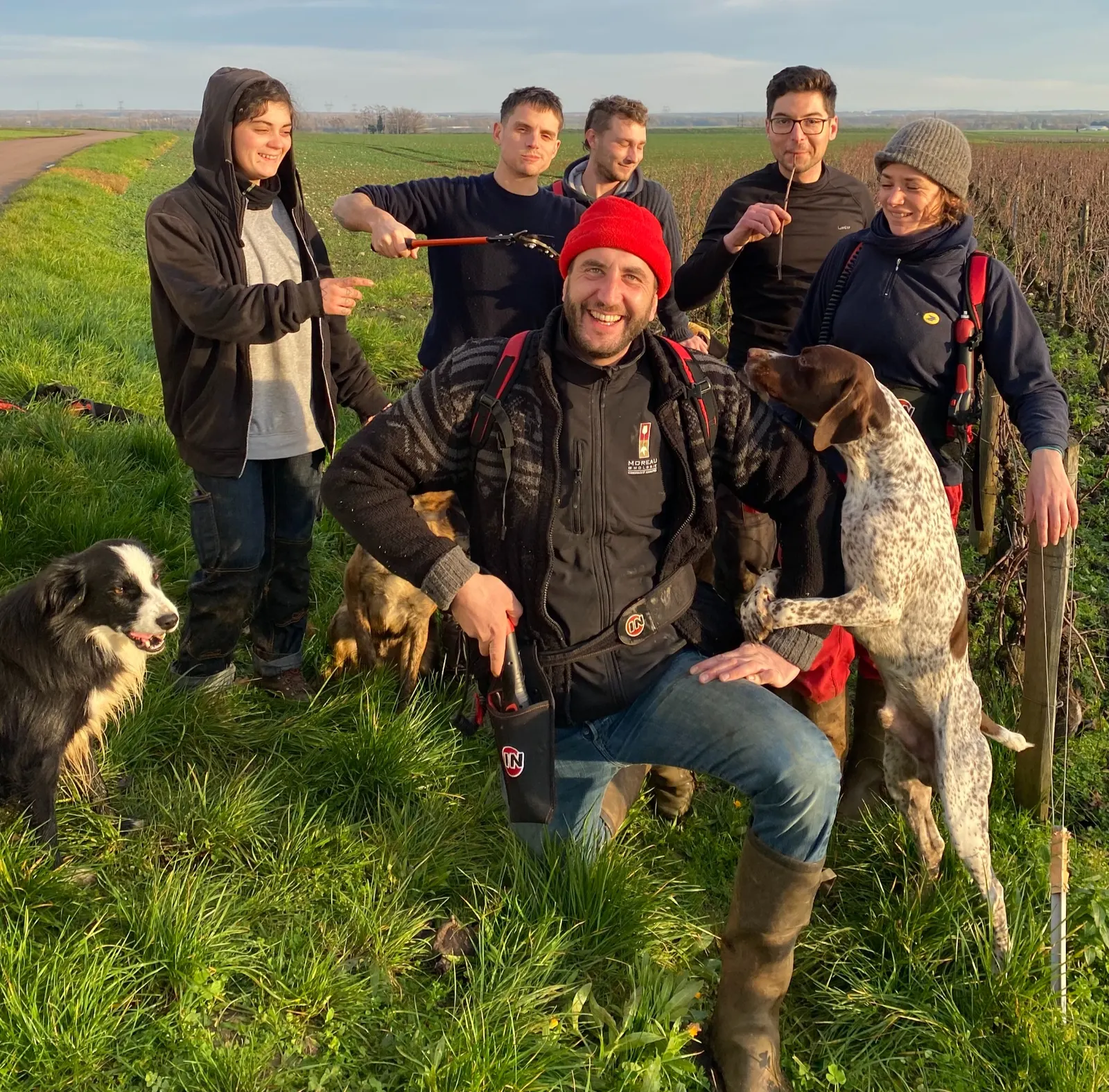 L’équipe de taille et les chiens dans les vignes