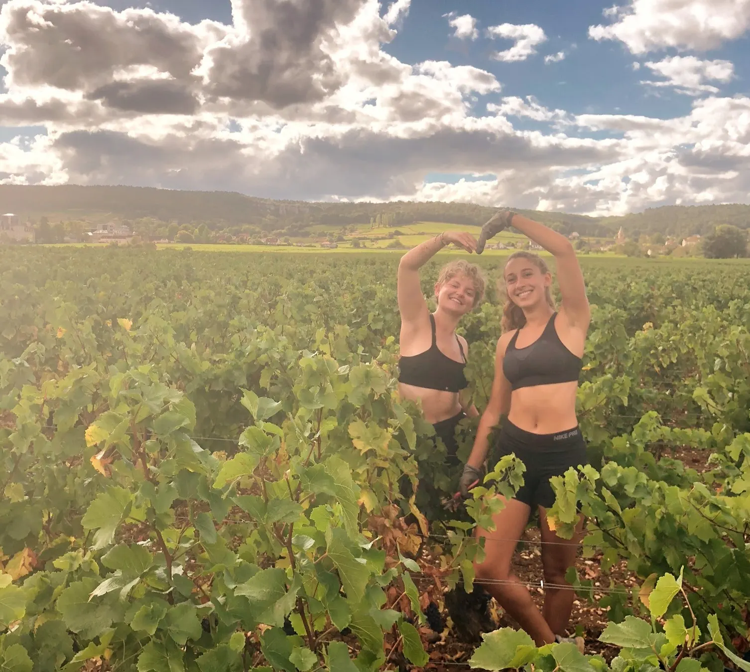 Deux vendangeuses forment un cœur avec leurs bras dans les vignes