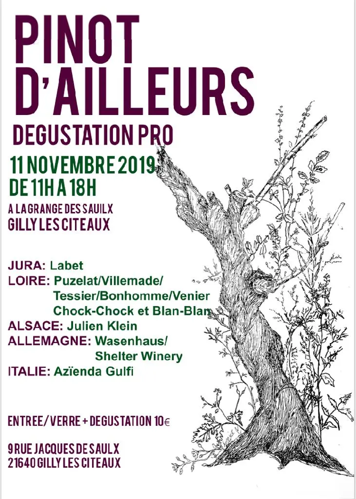 Affiche du salon Pinot d’ailleurs, le 11 novembre 2019 à Gilly-lès-Cîteaux